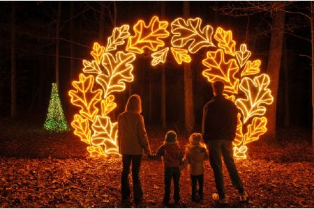 holiday_lights_garvan_woodland_gardens_17_l.jpg