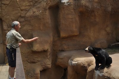 Steve Parker, a zookeeper at the Little Rock Zoo, gives a sun bear a treat.