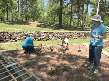 Master Gardeners Sunnie Ruple of Vilonia (from left) and Jo McGee of Mayflower work the ground for plantings while project leader Margaret Malek of Conway refers to the design plan.