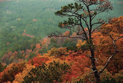 A beautiful fall scene in Conway County.