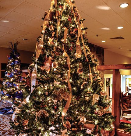 The Fairfield Bay Library designed a Christmas tree last year that was filled with knowledge. (Robin Richards photo)