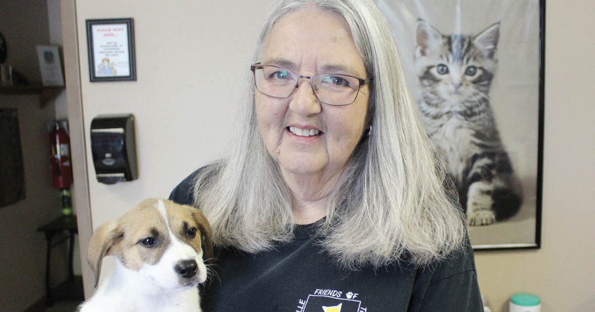 501 LIFE Magazine | Friends of the Animals: Maumelle group helps furry ...