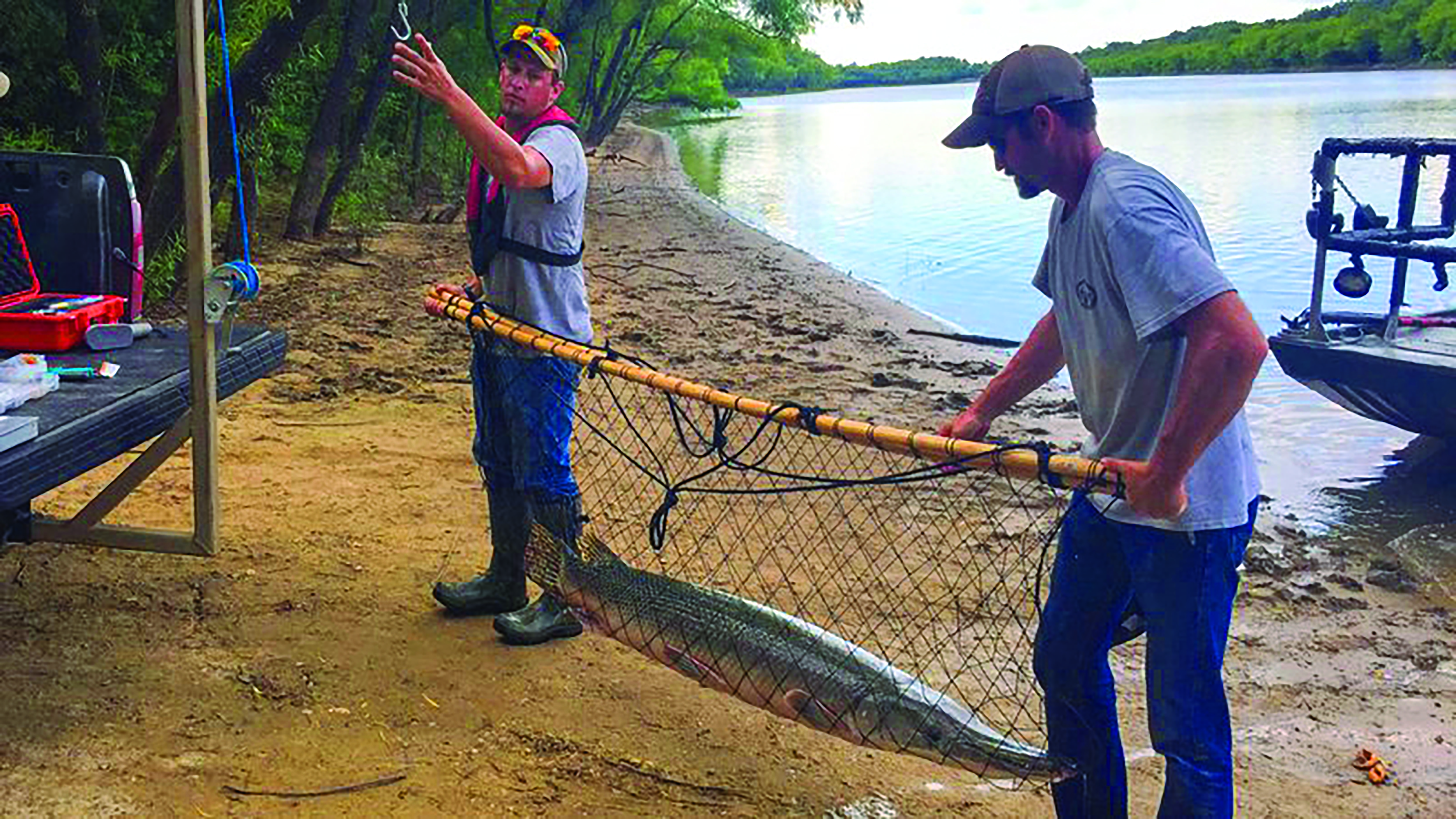 501 LIFE Magazine  Apply for a chance at Arkansas's largest trophy fish in  2021