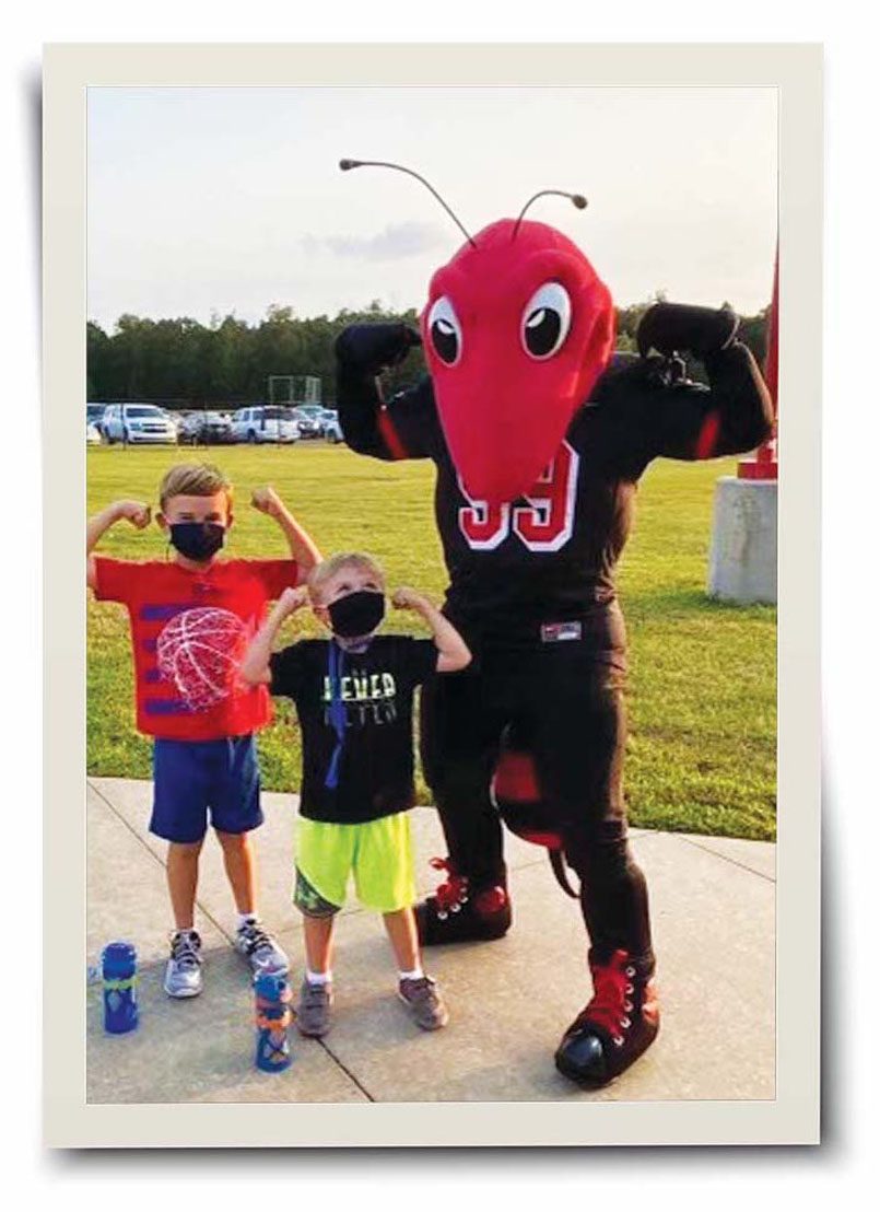 Hornet Mascot Costume - Perfect for your school mascot!