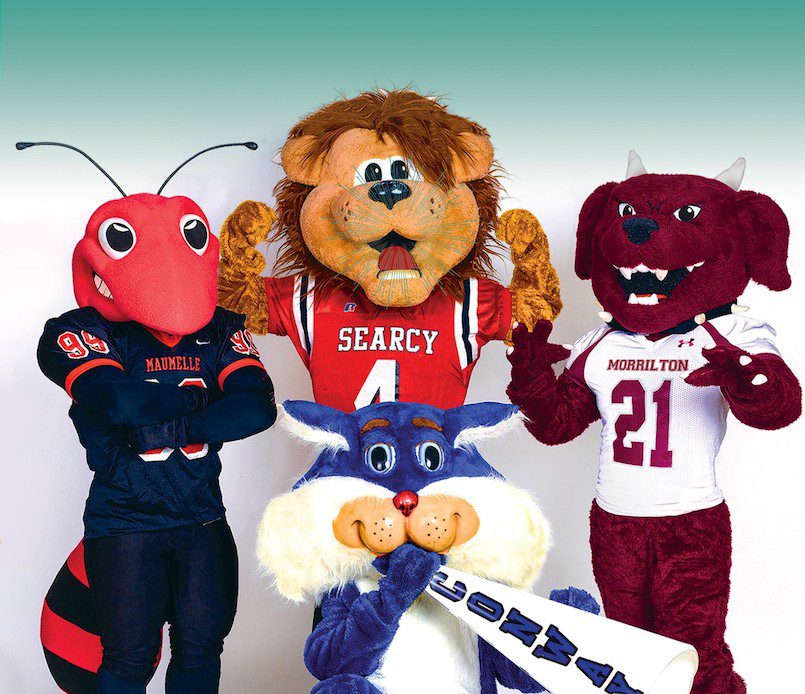 Hornet Mascot Costume - Perfect for your school mascot!