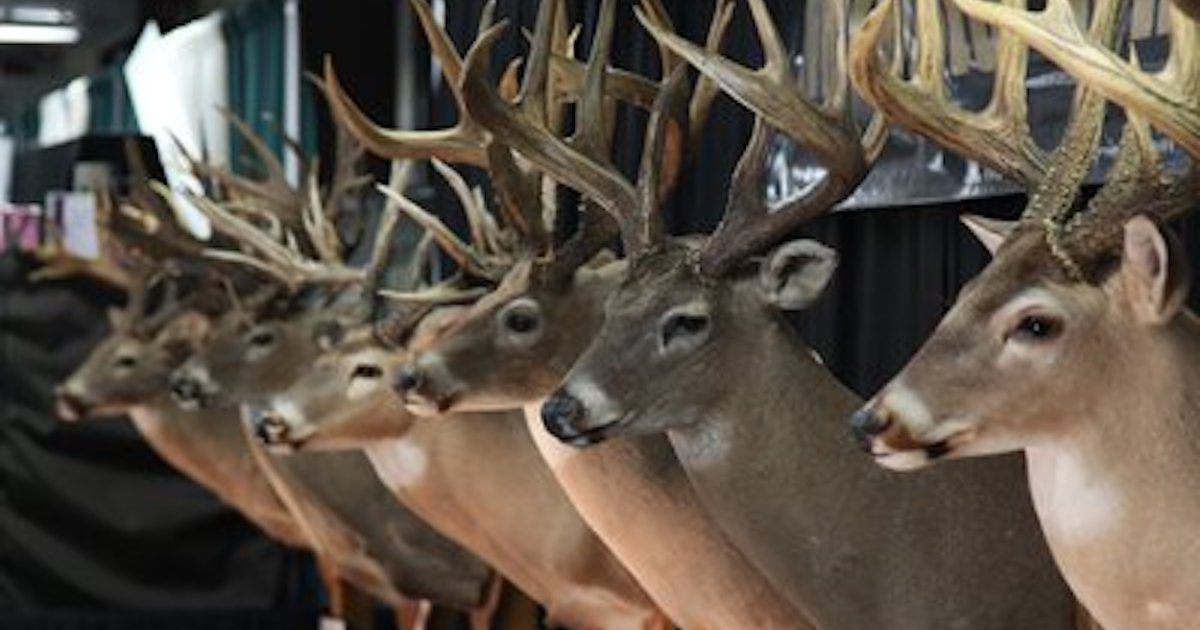 501 LIFE Magazine Big Buck Classic returns to State Fairgrounds Jan