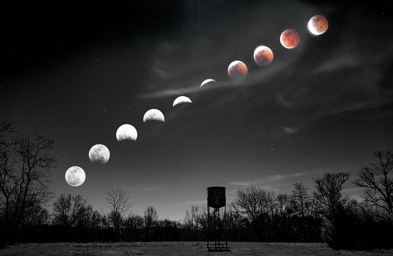 Totality touches the Moon during the lunar eclipse on November 8