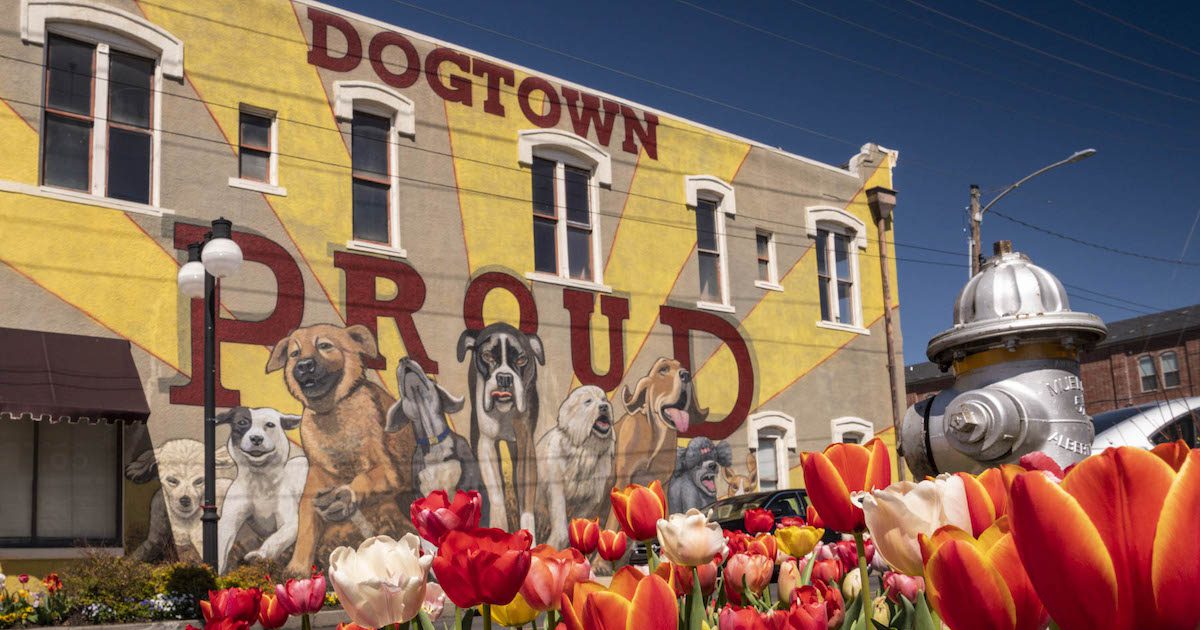 501 LIFE Magazine Argenta Vibe Music Series begins June 23