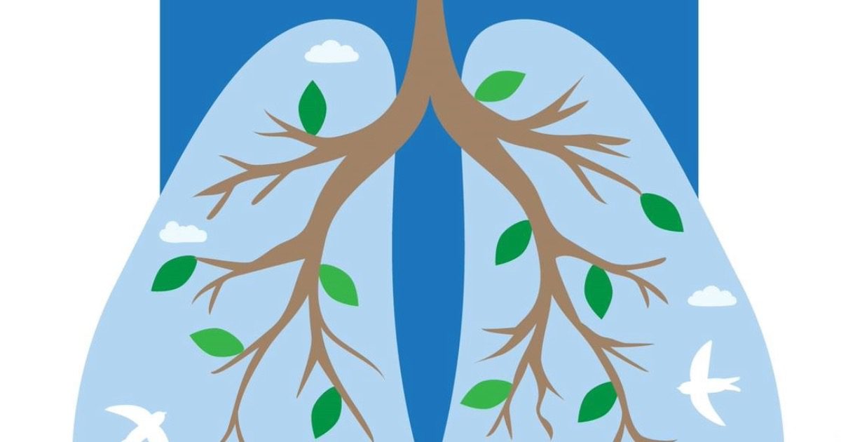 501 LIFE Magazine | Baptist Health Imaging Centers offer Saturday lung ...